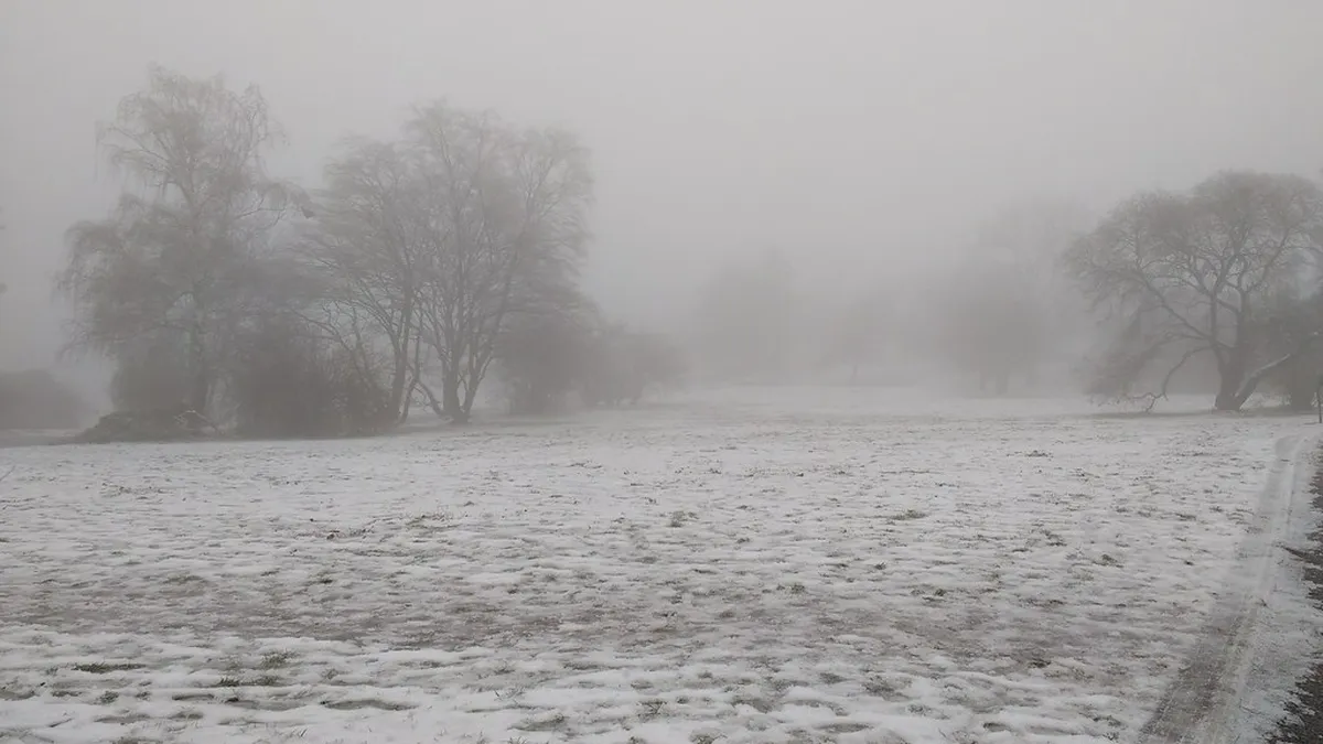 Best Kravi Hora Park Viewpoints in Brno 2026