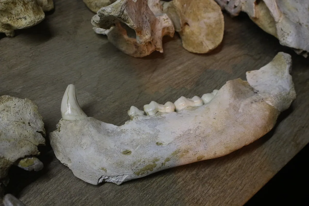 2-Day Moravian Karst Caves from Brno Itinerary