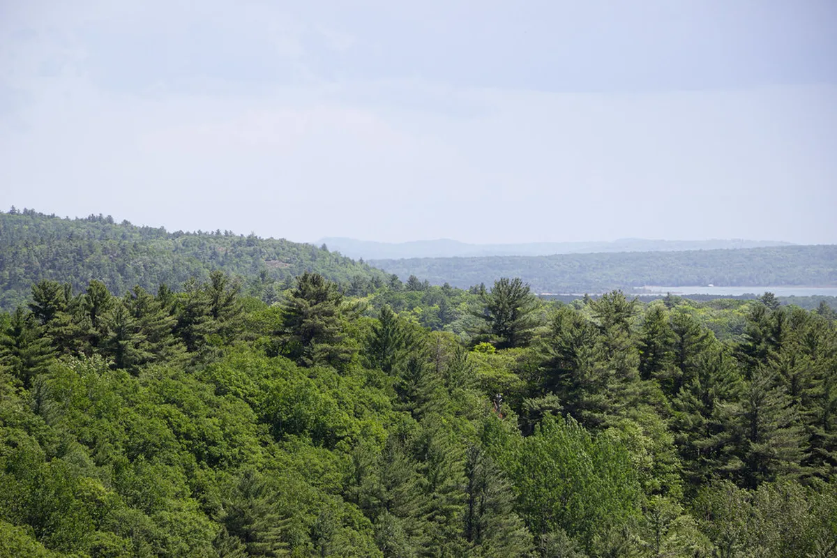 SOOS Nature Reserve Day Trip: 10 Best Things to See