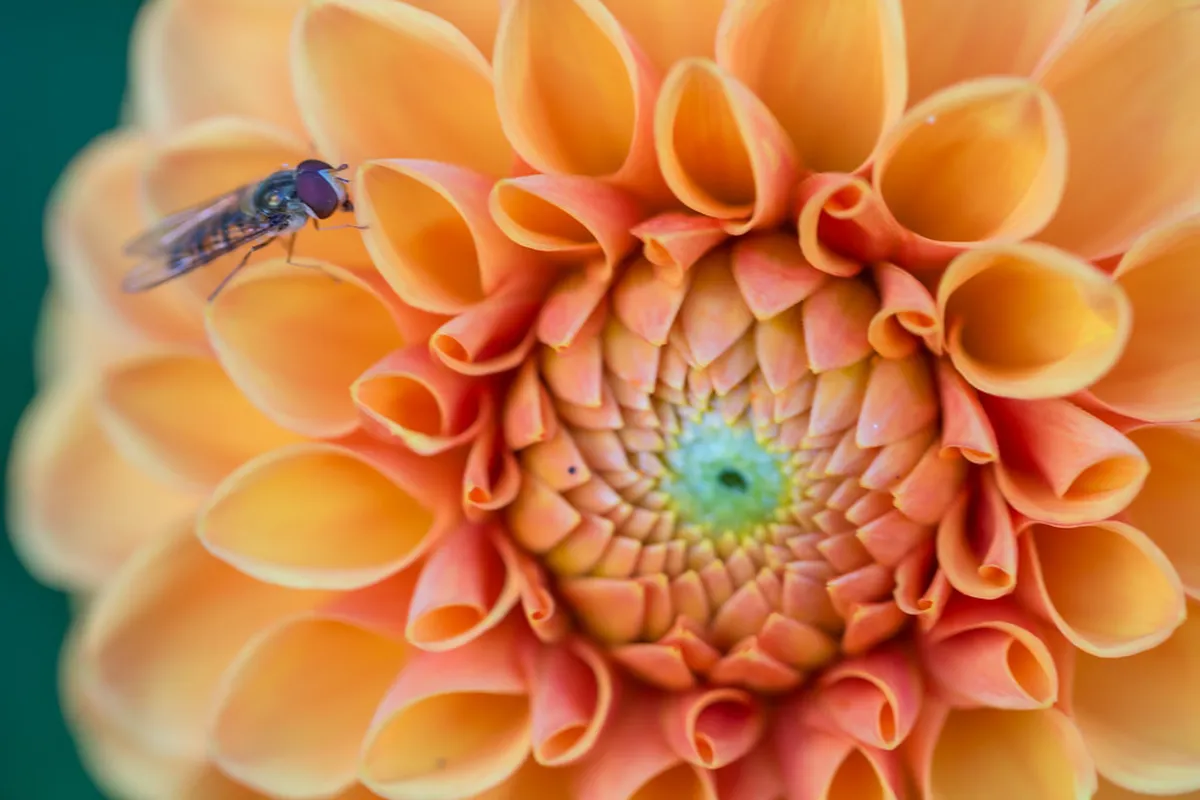 Guide to Visiting Bečov nad Teplou Castle in 2026