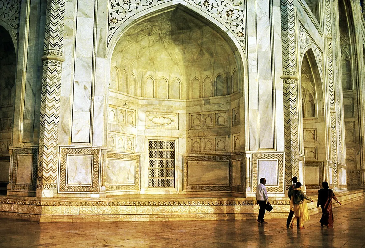 Diana Observation Tower and Butterfly House Review 2026