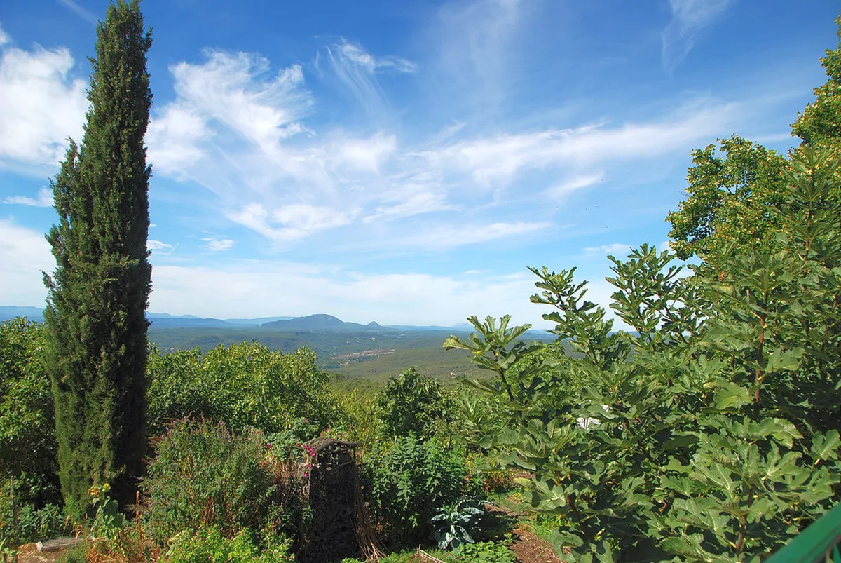 Best Time to Visit Svatý Kopeček for Photos