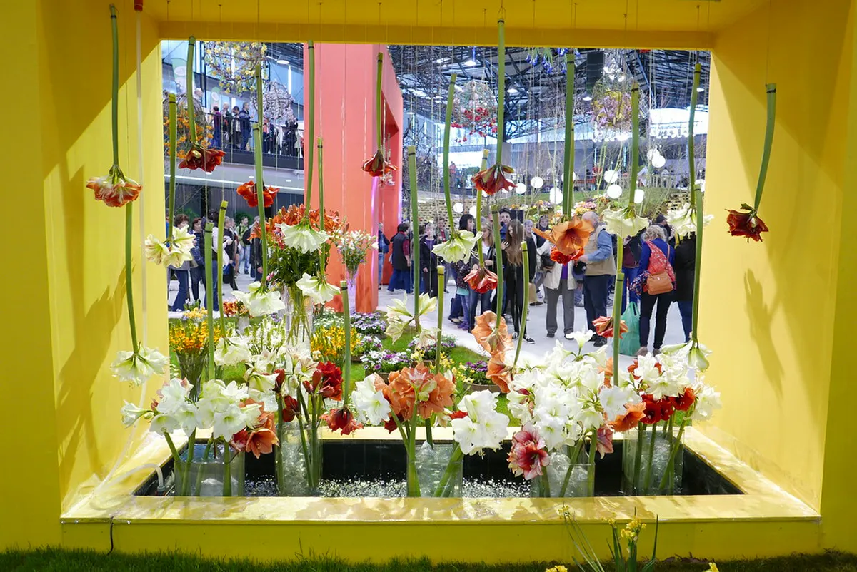 Best Flora Olomouc Exhibition Viewing Points in 2026