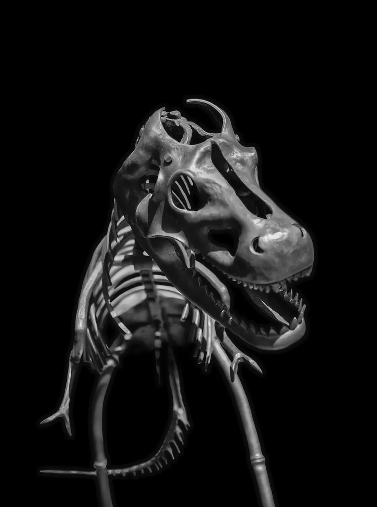 Helfštýn Castle Ruins Visit: 2026 Travel Guide