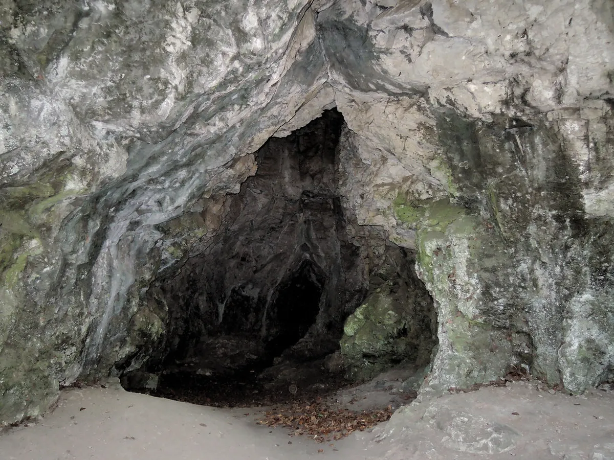 Javoříčko Caves Underground Exploration: 2026 Guide