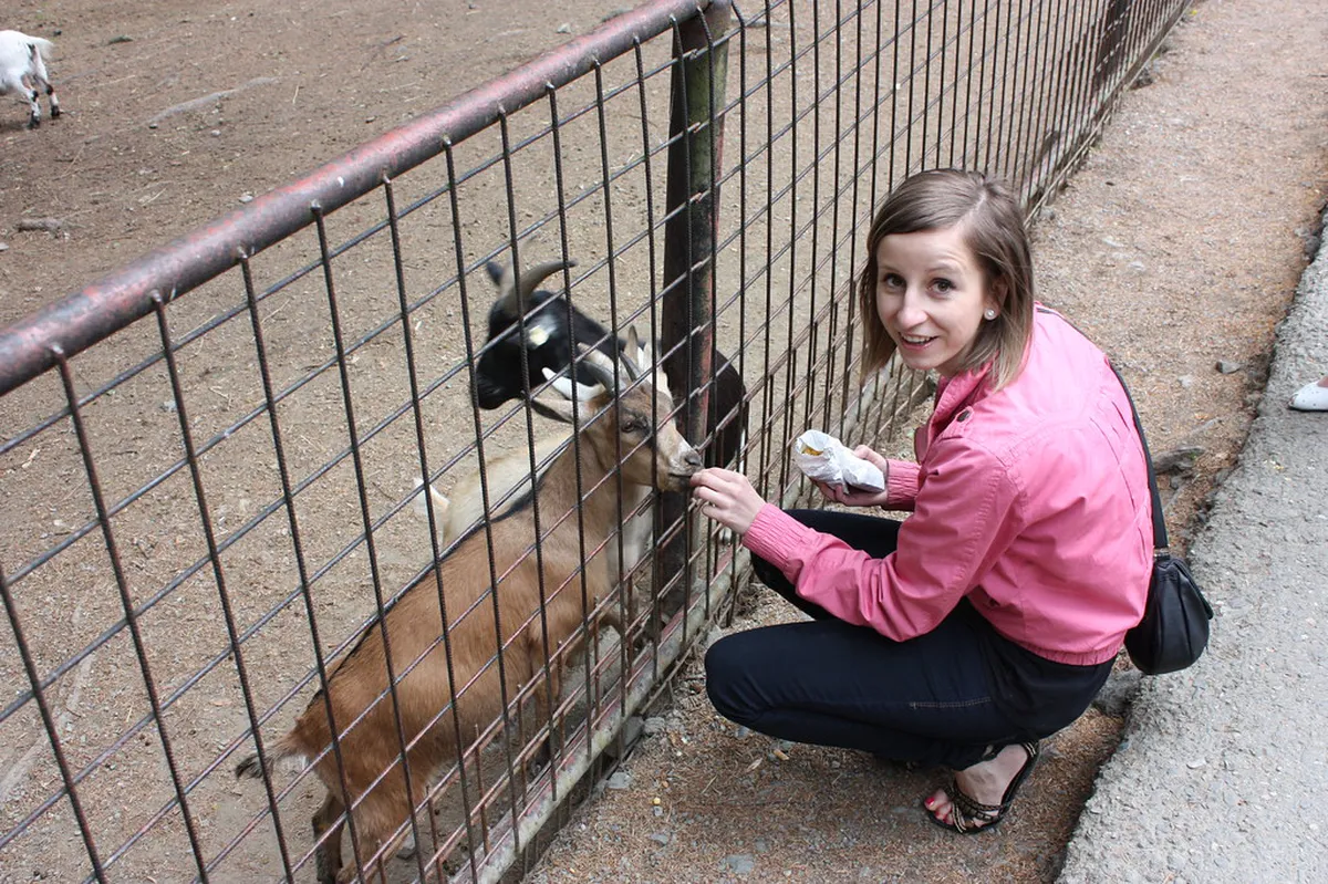 11 Best Things to See at Olomouc Zoo Svatý Kopeček