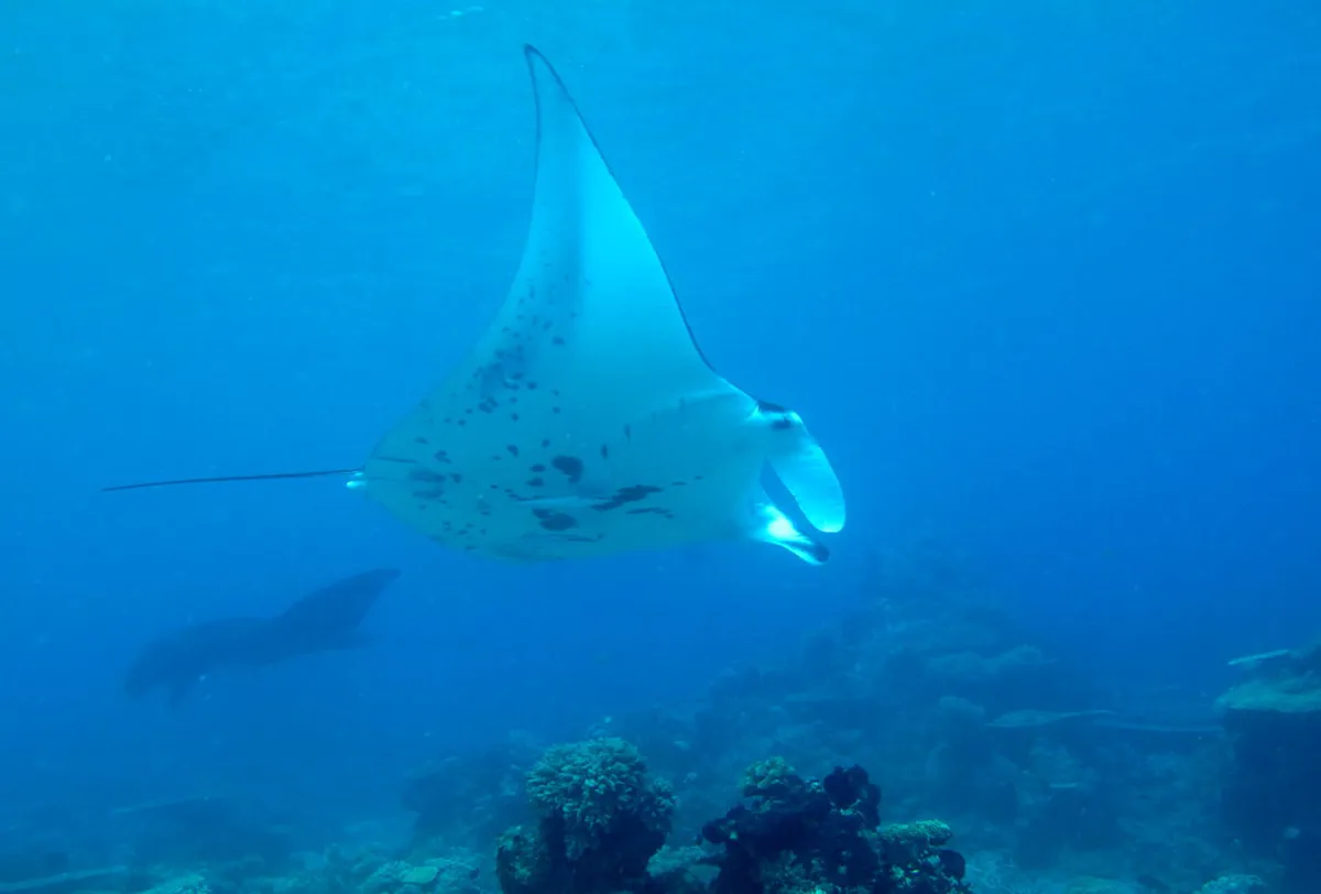 Best Directions to Rabí Castle from Plzeň