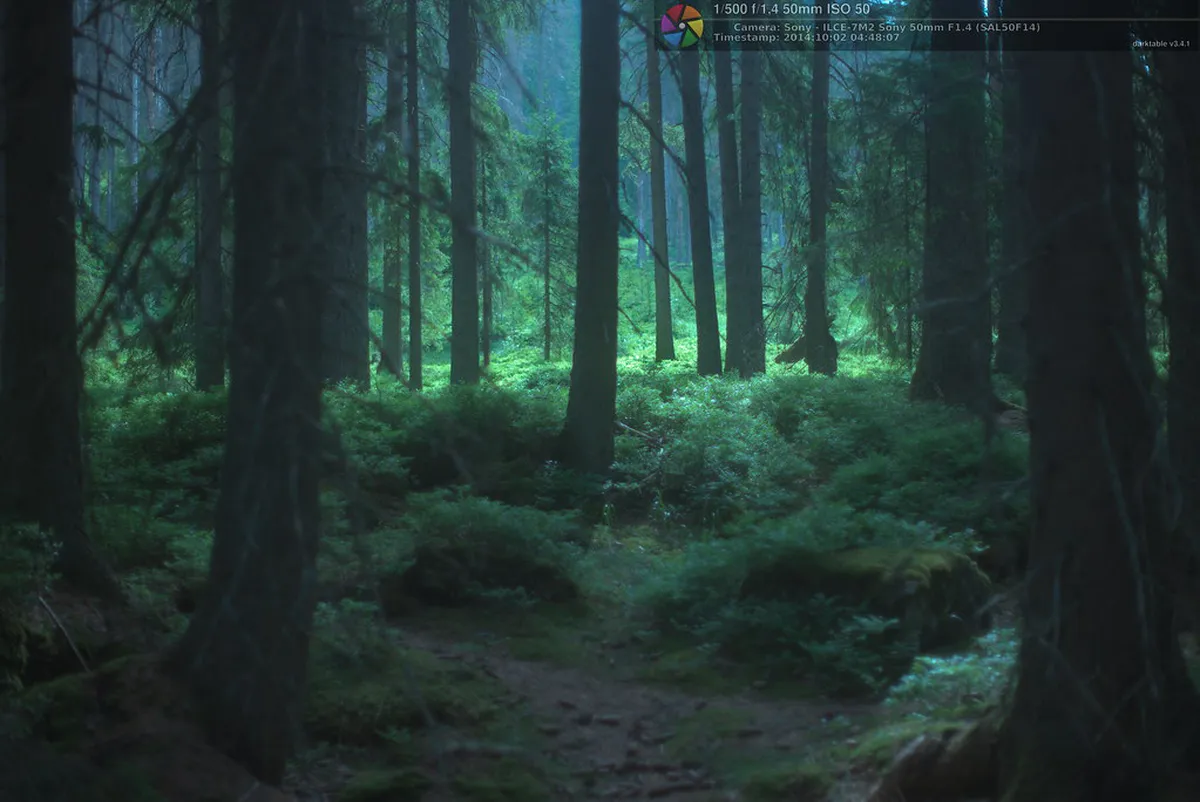 Šumava National Park from Plzeň: 2026 Guide