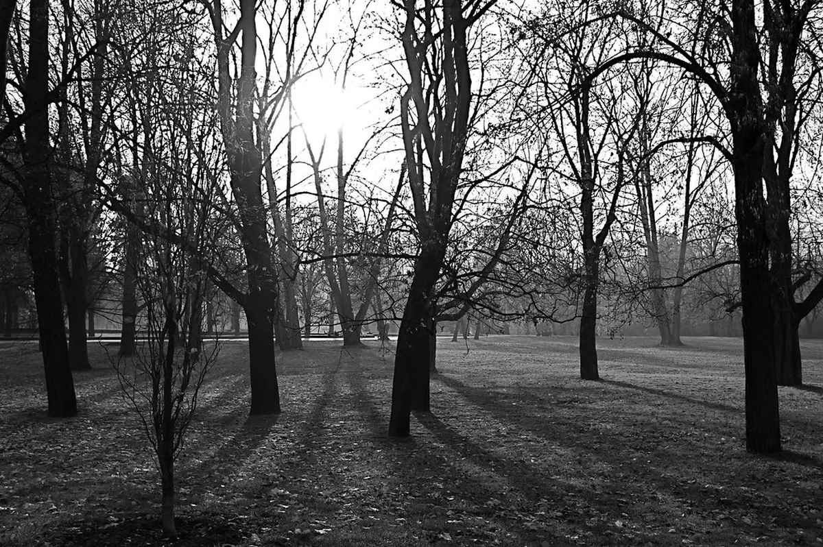 Best Letna Park Scenic Views: 2026 Prague Guide